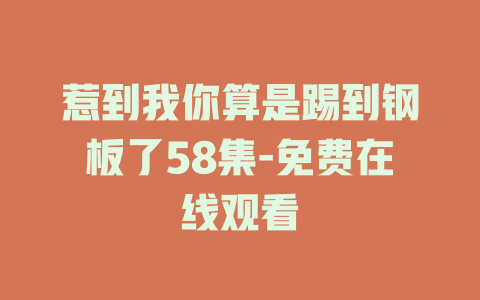 惹到我你算是踢到钢板了58集-免费在线观看