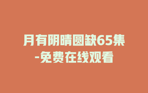 月有阴晴圆缺65集-免费在线观看