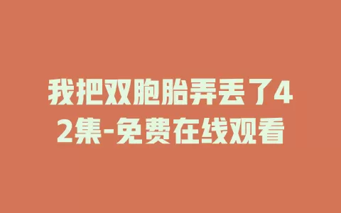 我把双胞胎弄丢了42集-免费在线观看