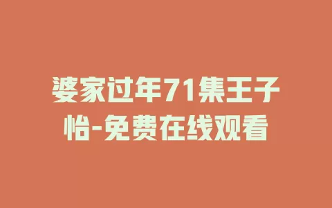 婆家过年71集王子怡-免费在线观看