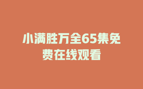 小满胜万全65集免费在线观看