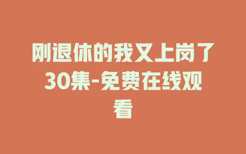 刚退休的我又上岗了30集-免费在线观看