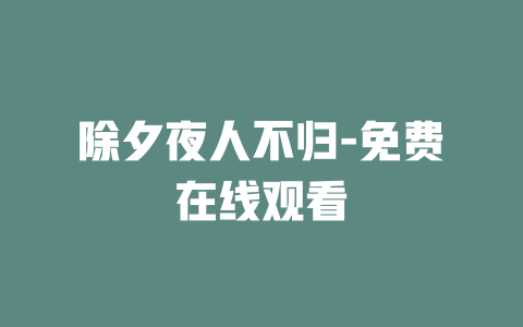 除夕夜人不归-免费在线观看