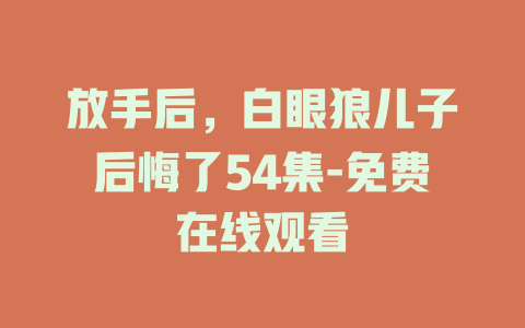 放手后，白眼狼儿子后悔了54集-免费在线观看