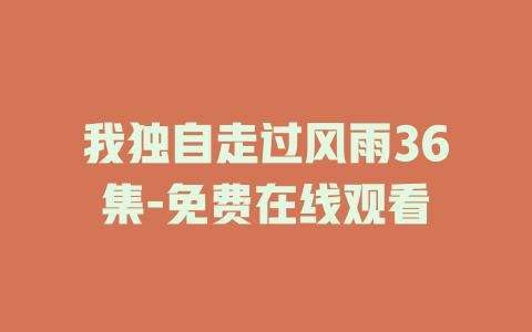 我独自走过风雨36集-免费在线观看