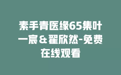 素手青医缘65集叶一宸＆翟欣然-免费在线观看