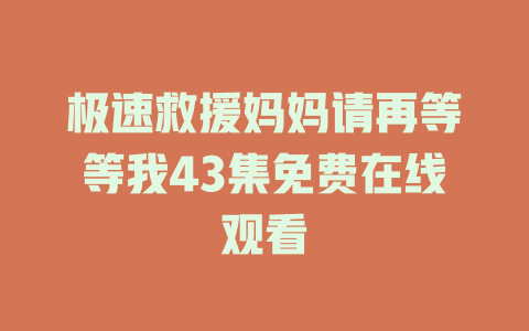 极速救援妈妈请再等等我43集免费在线观看