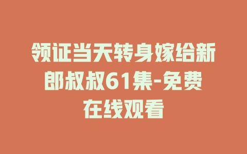 领证当天转身嫁给新郎叔叔61集-免费在线观看