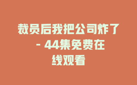 裁员后我把公司炸了 - 44集免费在线观看