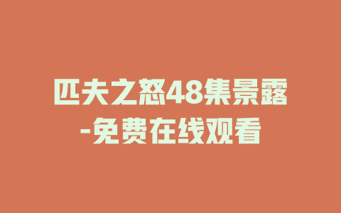 匹夫之怒48集景露-免费在线观看