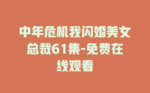 中年危机我闪婚美女总裁61集-免费在线观看