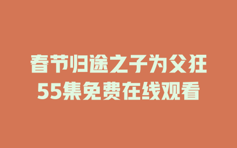 春节归途之子为父狂55集免费在线观看