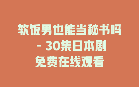 软饭男也能当秘书吗 - 30集日本剧免费在线观看