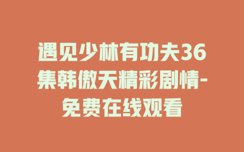 遇见少林有功夫36集韩傲天精彩剧情-免费在线观看