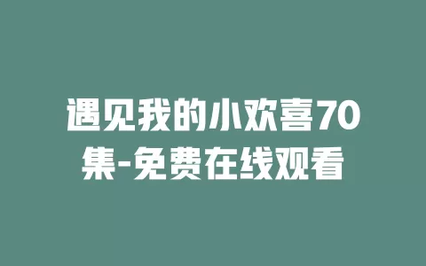 遇见我的小欢喜70集-免费在线观看