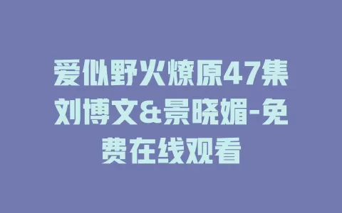 爱似野火燎原47集刘博文&景晓媚-免费在线观看