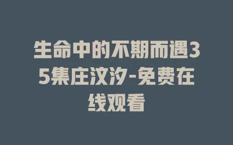 生命中的不期而遇35集庄汶汐-免费在线观看