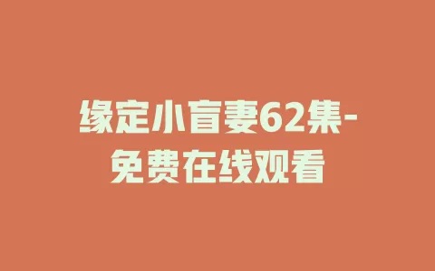 缘定小盲妻62集-免费在线观看
