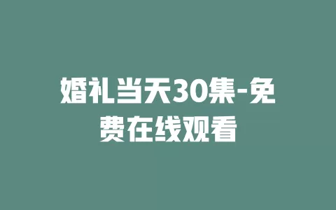 婚礼当天30集-免费在线观看