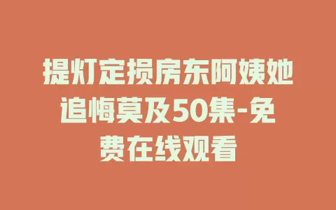 提灯定损房东阿姨她追悔莫及50集-免费在线观看