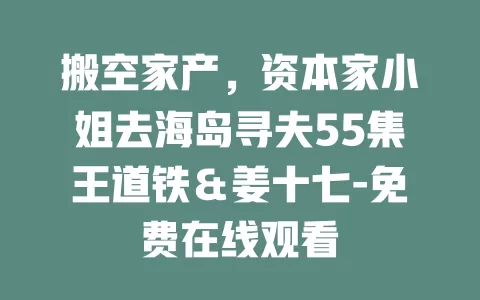 搬空家产，资本家小姐去海岛寻夫55集王道铁＆姜十七-免费在线观看