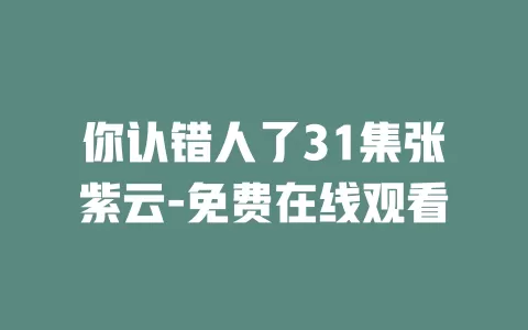 你认错人了31集张紫云-免费在线观看