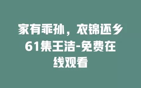 家有乖孙，衣锦还乡61集王洁-免费在线观看