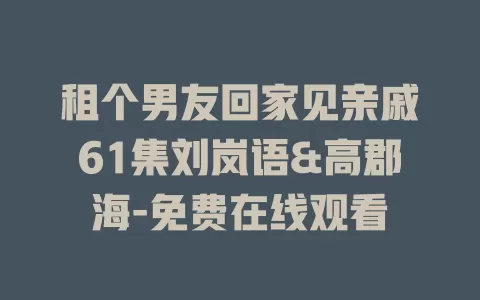 租个男友回家见亲戚61集刘岚语&高郡海-免费在线观看