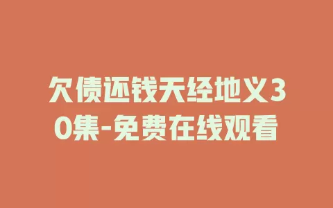 欠债还钱天经地义30集-免费在线观看