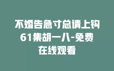 不婚告急寸总请上钩61集胡一八-免费在线观看