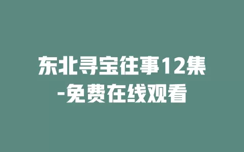东北寻宝往事12集-免费在线观看