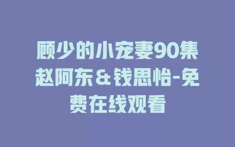 顾少的小宠妻90集赵阿东＆钱思怡-免费在线观看