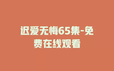迟爱无悔65集-免费在线观看