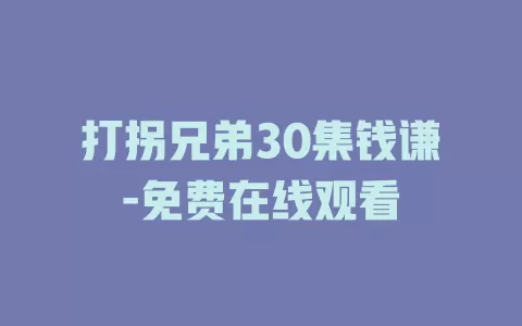 打拐兄弟30集钱谦-免费在线观看