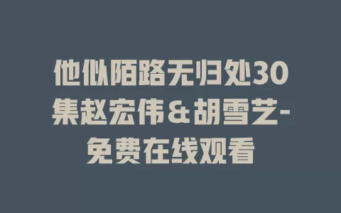 他似陌路无归处30集赵宏伟＆胡雪艺-免费在线观看