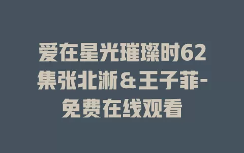 爱在星光璀璨时62集张北淅＆王子菲-免费在线观看
