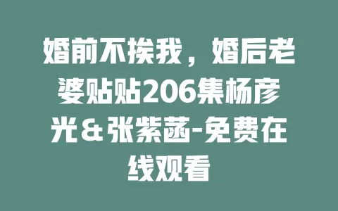 婚前不挨我，婚后老婆贴贴206集杨彦光＆张紫菡-免费在线观看