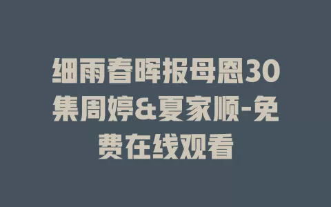 细雨春晖报母恩30集周婷&夏家顺-免费在线观看