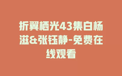 折翼栖光43集白杨滋&张钰静-免费在线观看