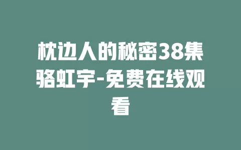 枕边人的秘密38集骆虹宇-免费在线观看