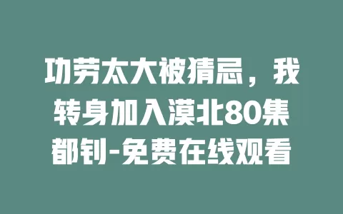 功劳太大被猜忌，我转身加入漠北80集都钊-免费在线观看