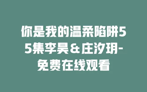 你是我的温柔陷阱55集李昊＆庄汐玥-免费在线观看