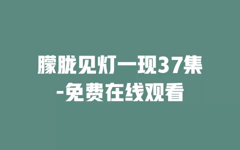 朦胧见灯一现37集-免费在线观看