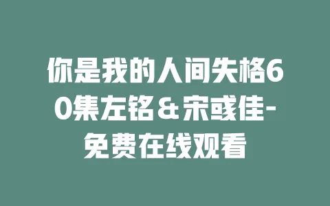 你是我的人间失格60集左铭＆宋彧佳-免费在线观看