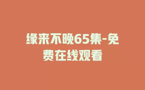 缘来不晚65集-免费在线观看