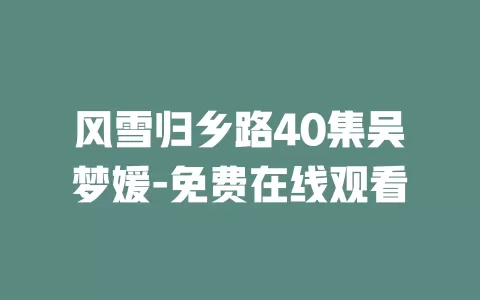 风雪归乡路40集吴梦媛-免费在线观看