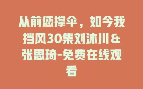 从前您撑伞，如今我挡风30集刘沐川＆张思琦-免费在线观看