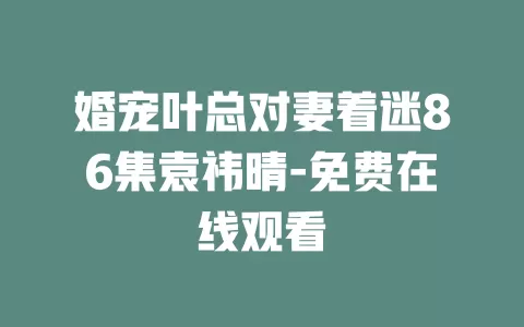 婚宠叶总对妻着迷86集袁祎晴-免费在线观看