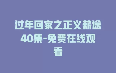 过年回家之正义薪途40集-免费在线观看