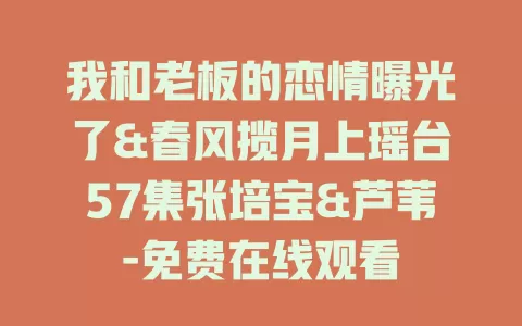 我和老板的恋情曝光了&春风揽月上瑶台57集张培宝&芦苇-免费在线观看